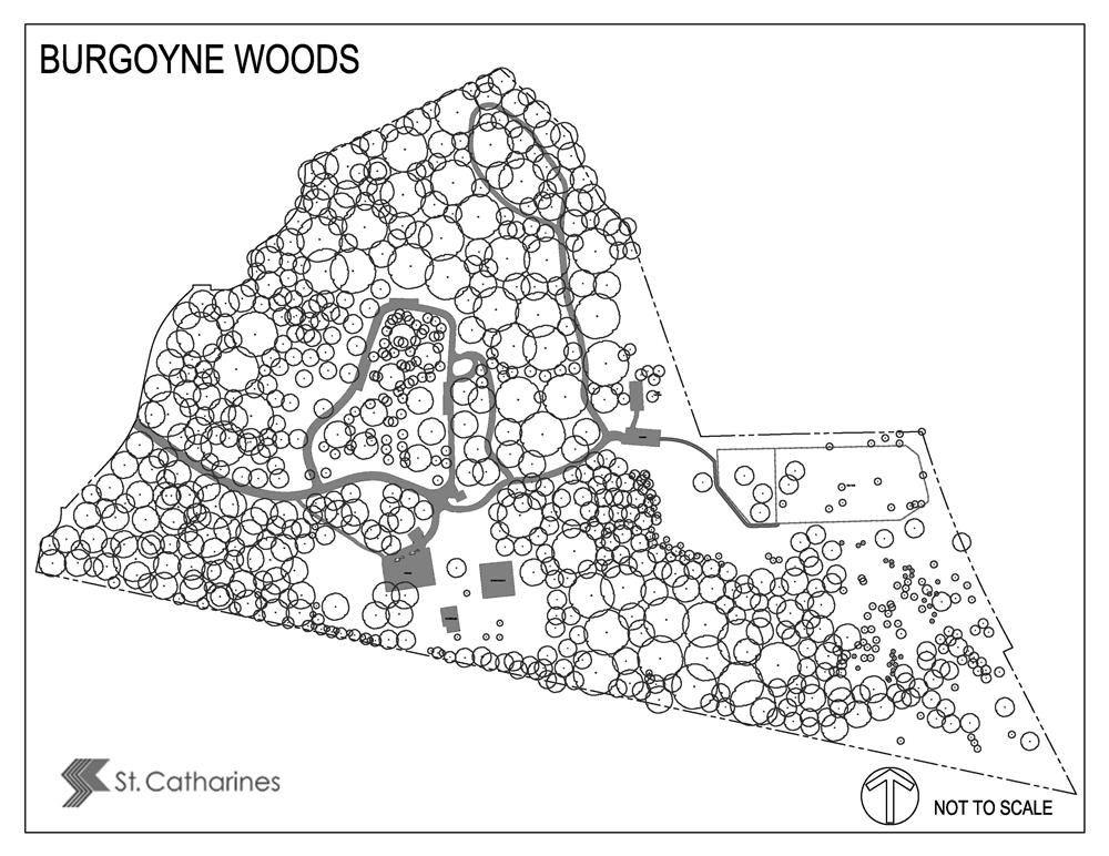Burgoyne Woods